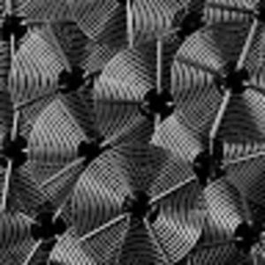 Meet your Posher, Noah